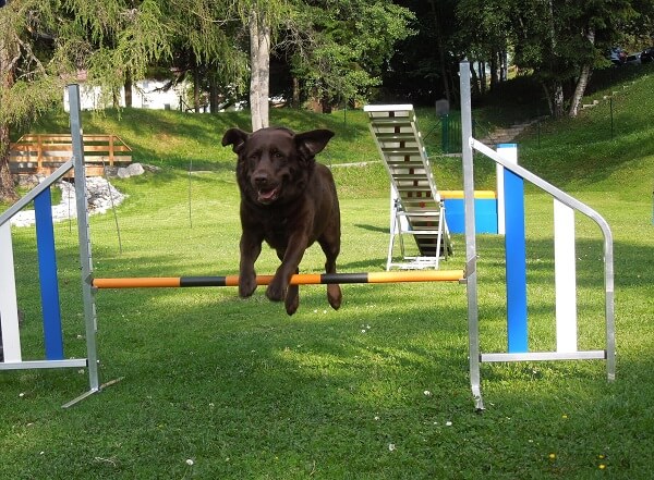 Bergresort in Seefeld - Agility