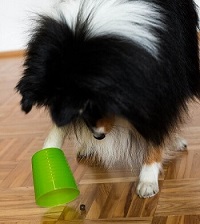 Hunde Intelligenzspielzeug - Becher Test