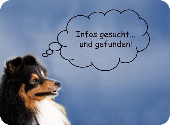 Pawtie - Informationen und Tipps zum Thema Hund